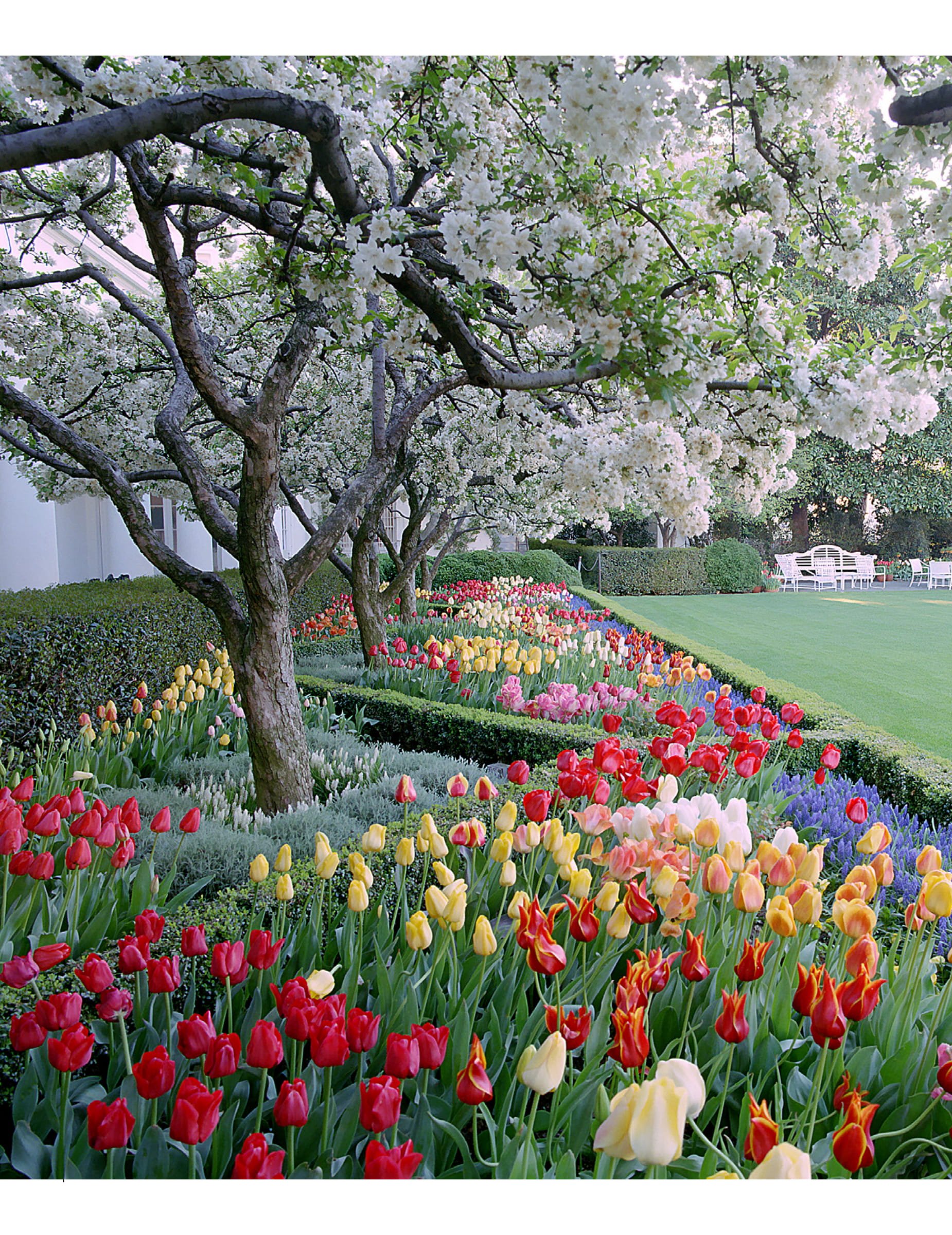 GardensOfBunnyMellon-13