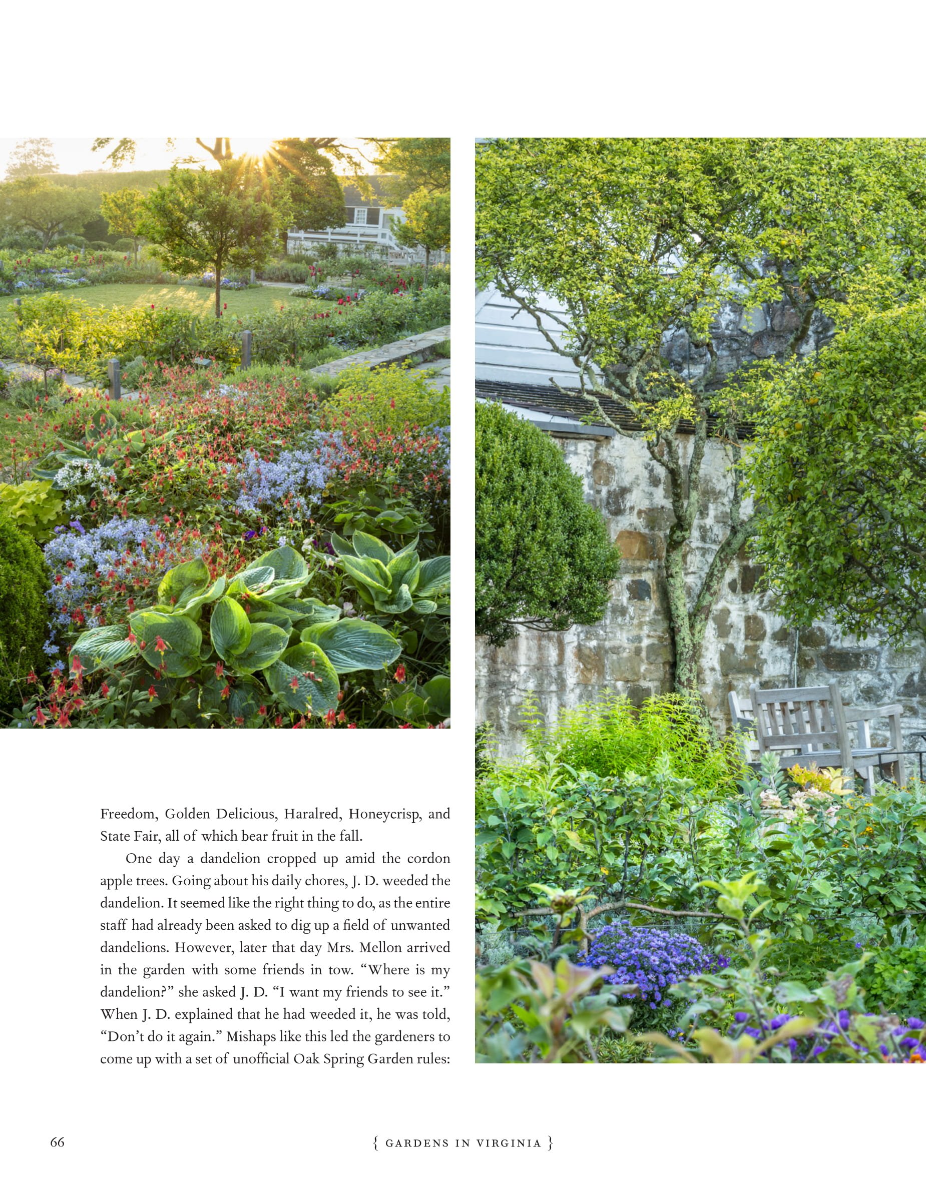 GardensOfBunnyMellon-7