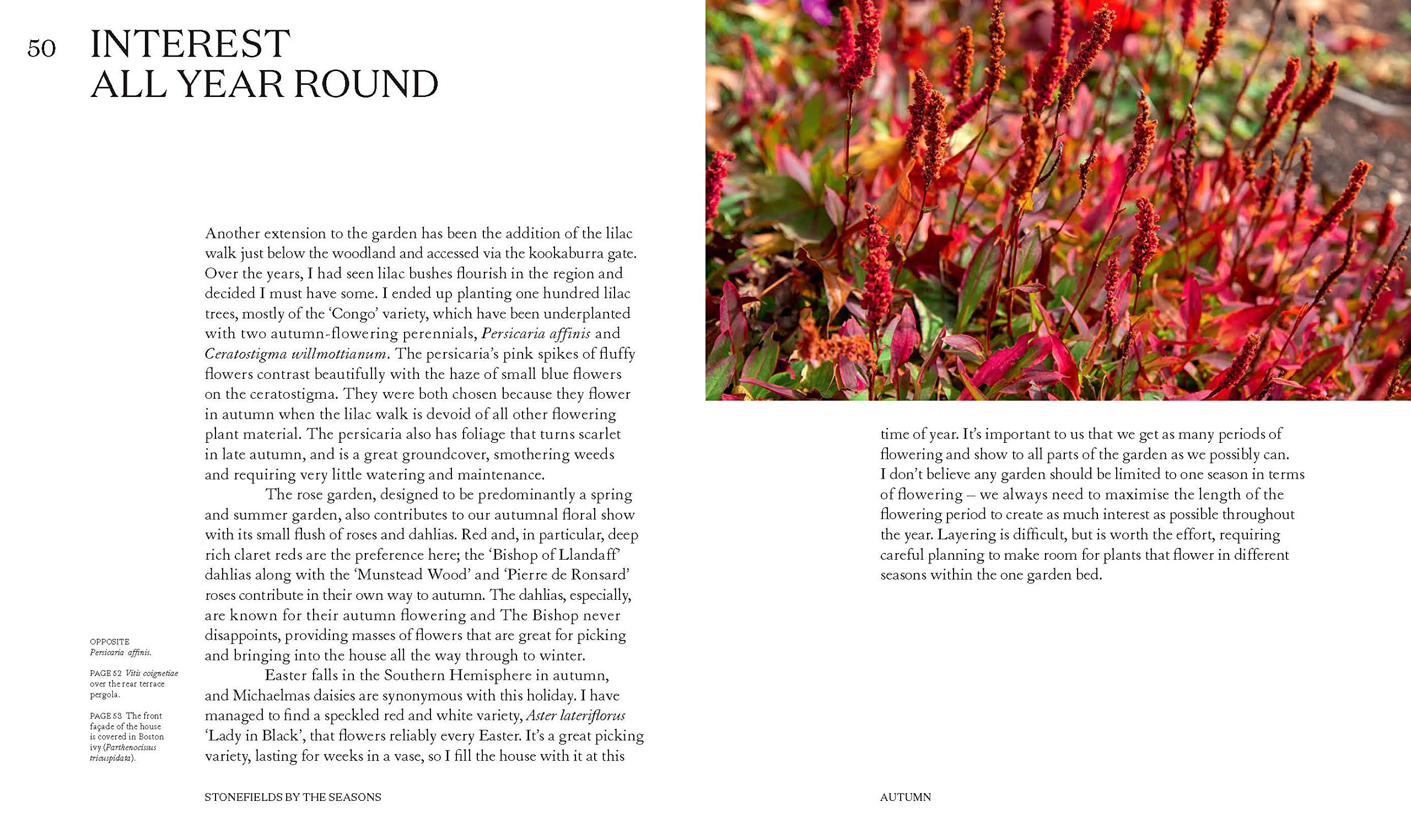 StonefieldsByTheSeasons-3