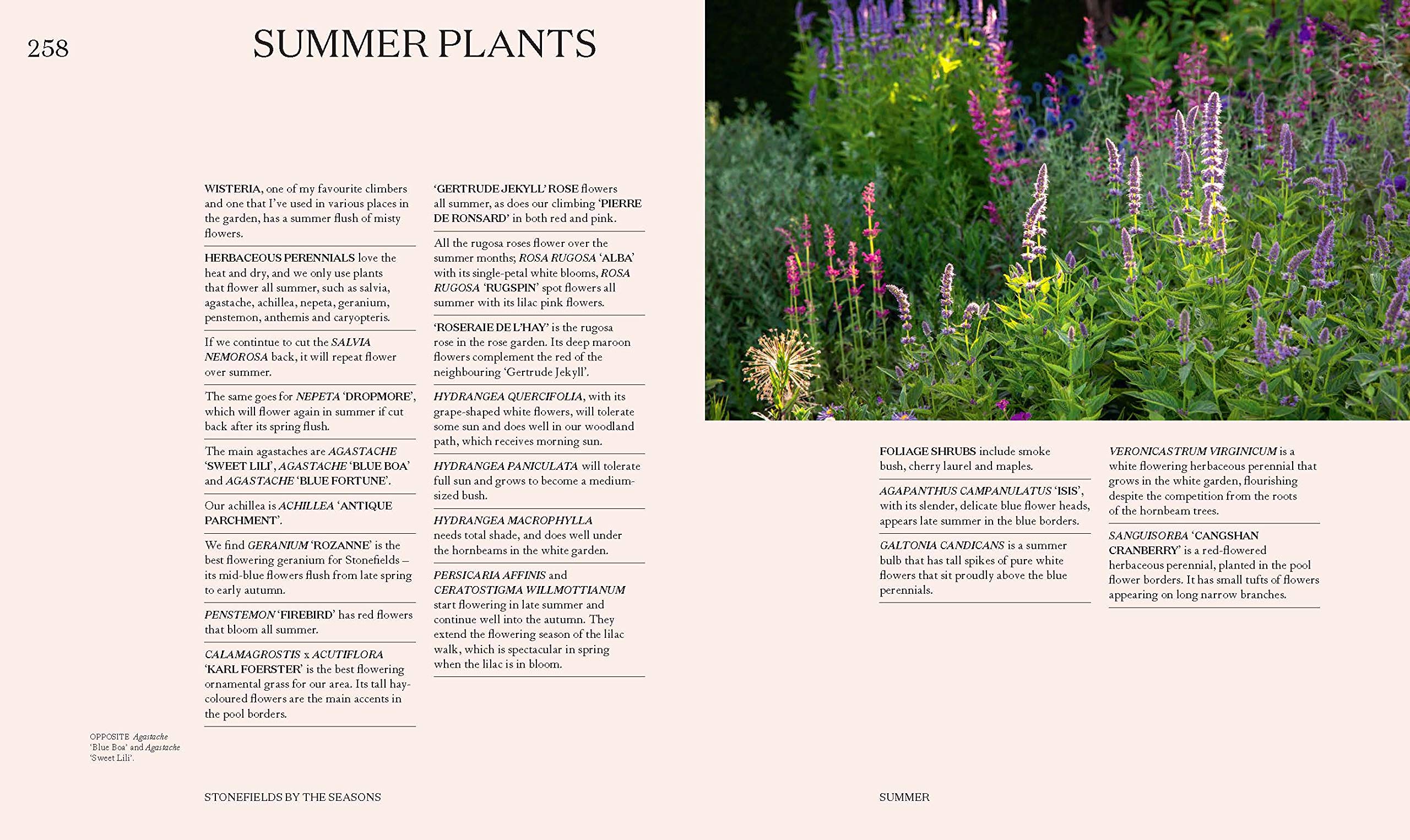 StonefieldsByTheSeasons-5