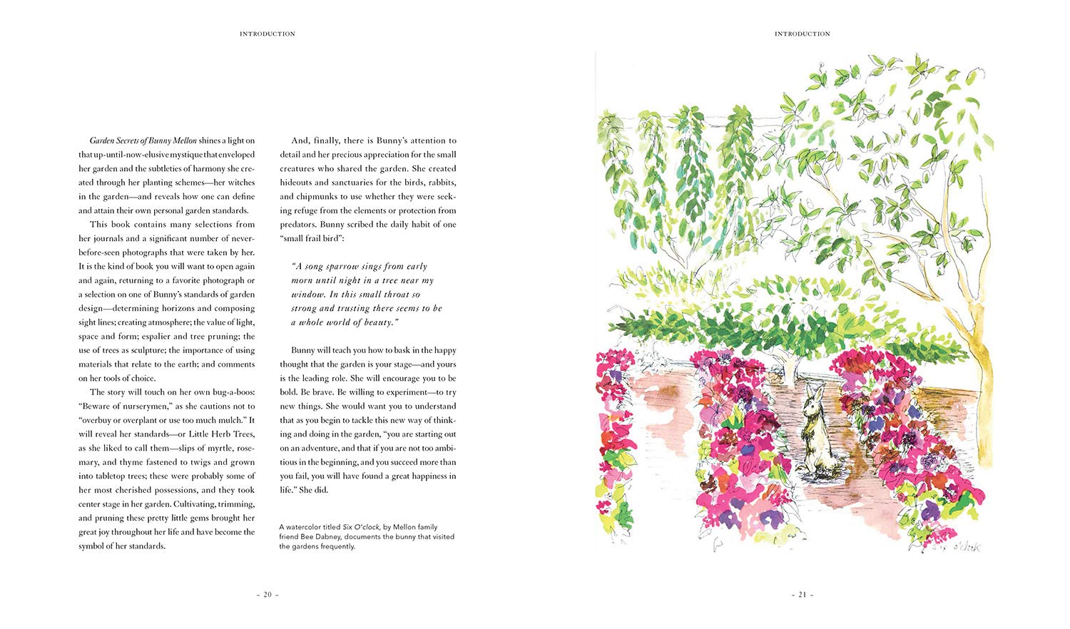 GardenSecretsOfBunnyMellon-4