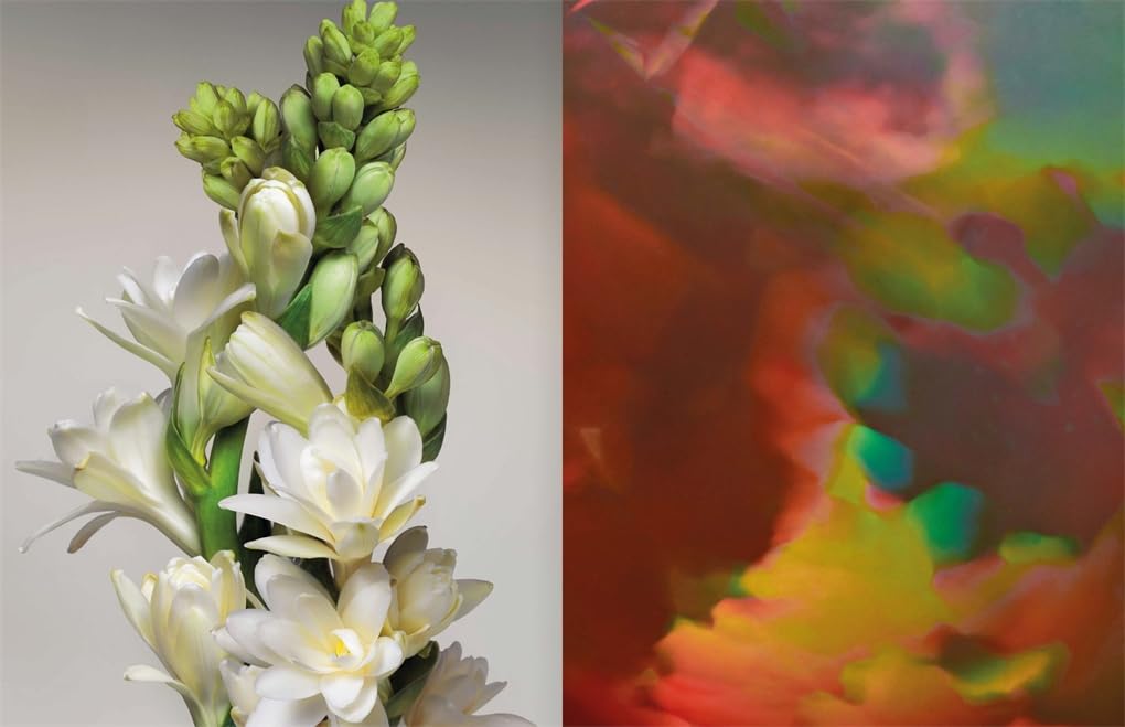 LouisVuittonAPerfumeAtlas-2