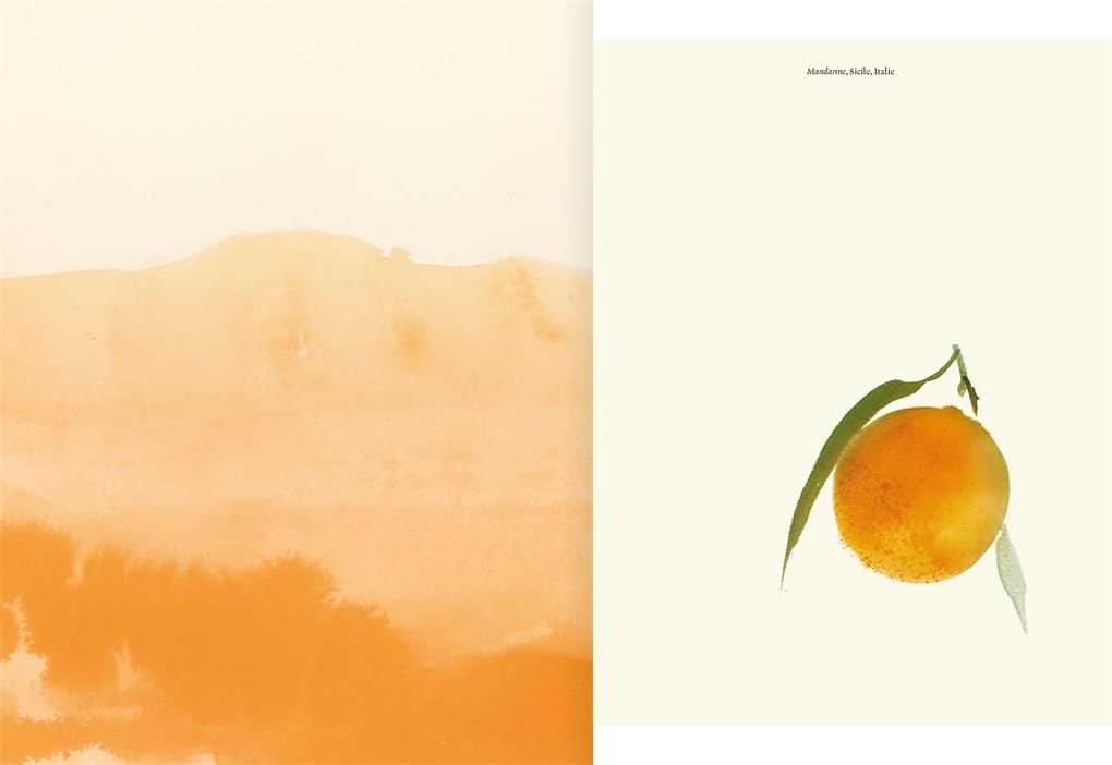 LouisVuittonAPerfumeAtlas-6