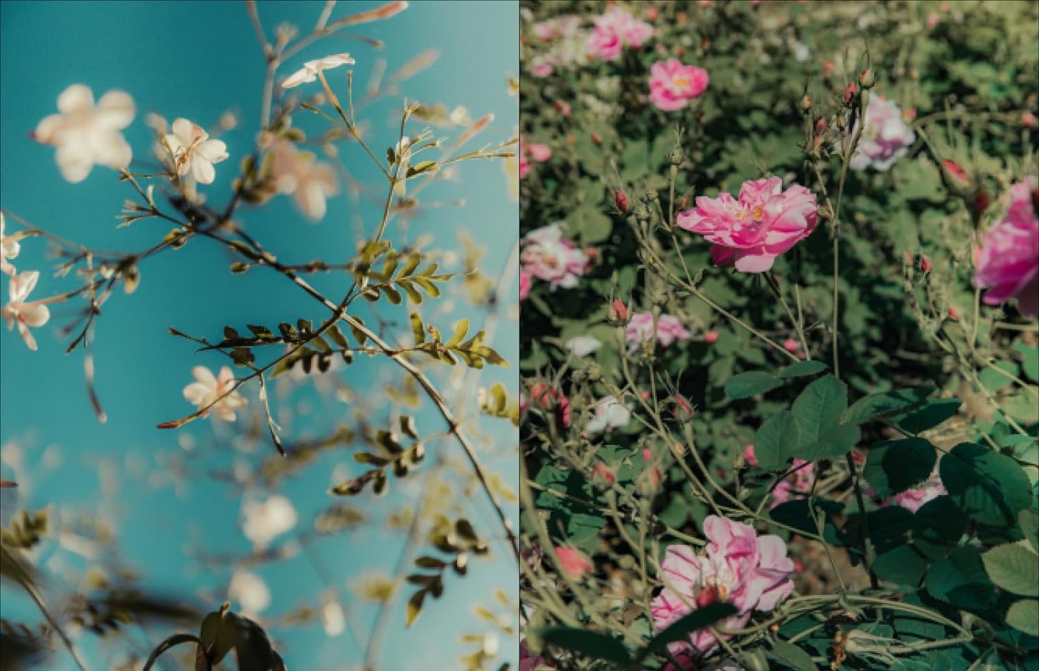 LouisVuittonAPerfumeAtlas-8